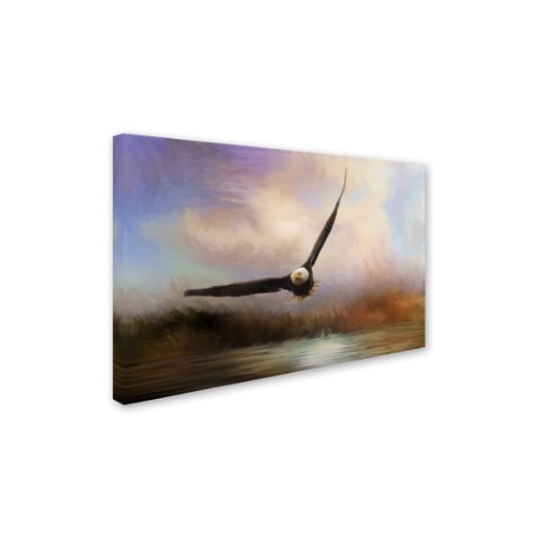 Jai Johnson 'Eagle In The Marsh' Canvas Art,12x19